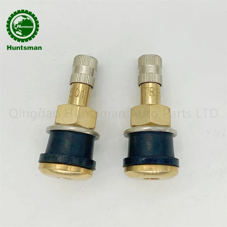 truck valve stem
